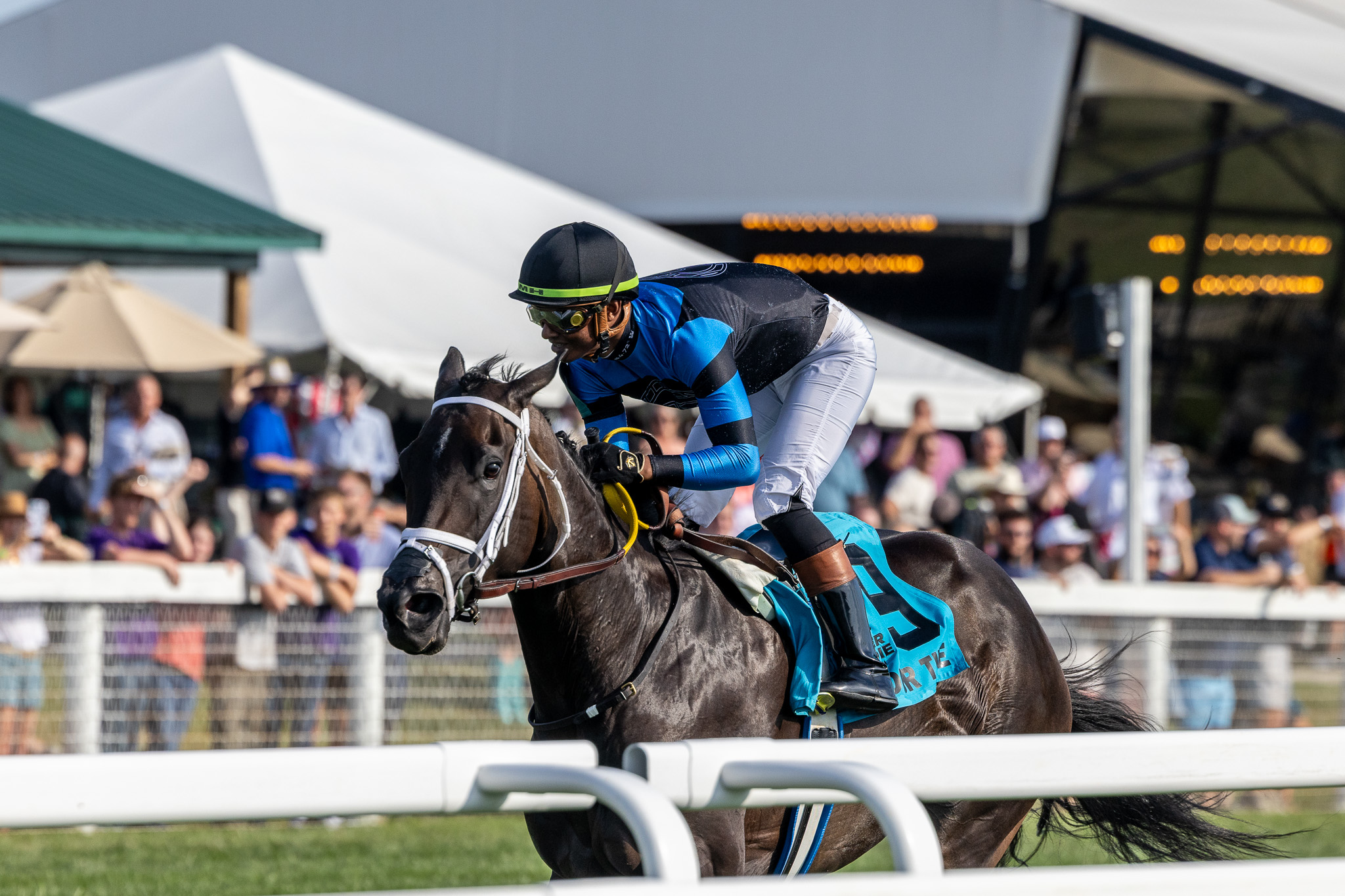 In Our Time dominates in G1 $1.75 million Never Say Die Ladies Turf Sprint