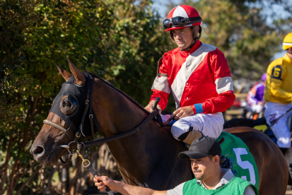 Multiple G1-Winner Burnham Square, Reigning Breeders’ Cup champion Ethical Diamond set to do battle in G2 $2 million AGS Kentucky Turf Cup