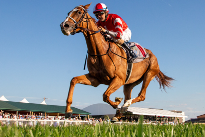 Turf Racing’s Biggest Purses: Kentucky Downs Features $25.75M Across 20 Stakes in 2026