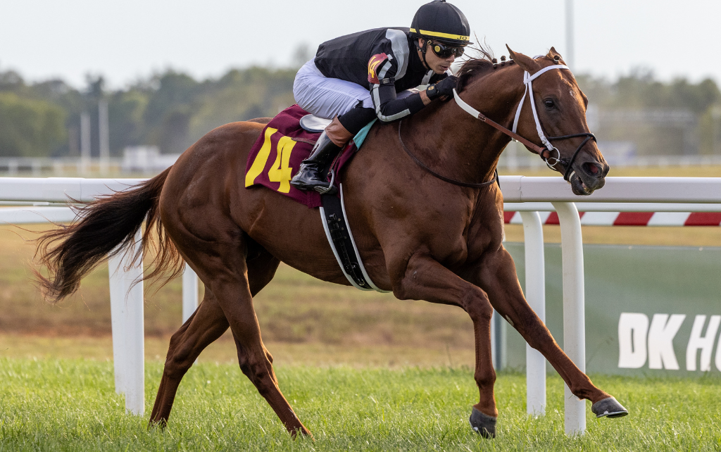 Casse sends a pair of 2YOs for $750,000 Keeneland Sales Juvenile Sprint; Lagynos headlines $500,000 Tight Spot Overnight H.