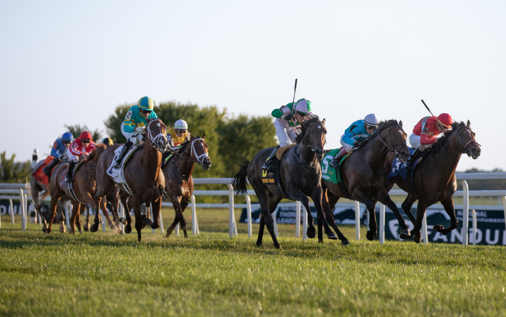 August 30 Stakes Preview: Waggley puts unbeaten record in the line in $750,000 Untapable; Dual Graded winner Mercante looks to get back in win column in $500,000 Tapit