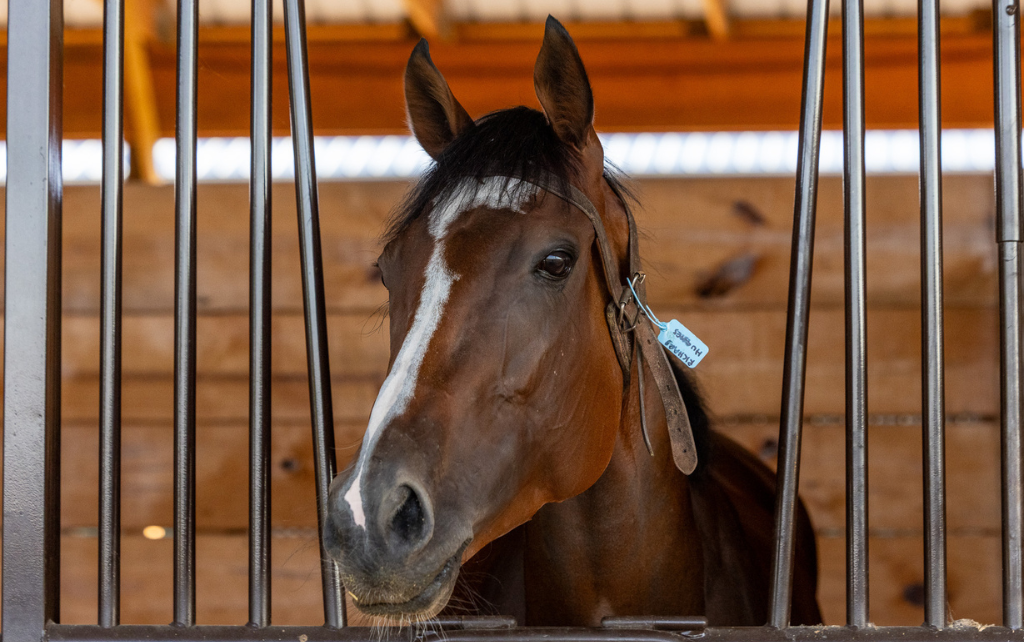 Kentucky Downs News & Notes: August 27, 2026