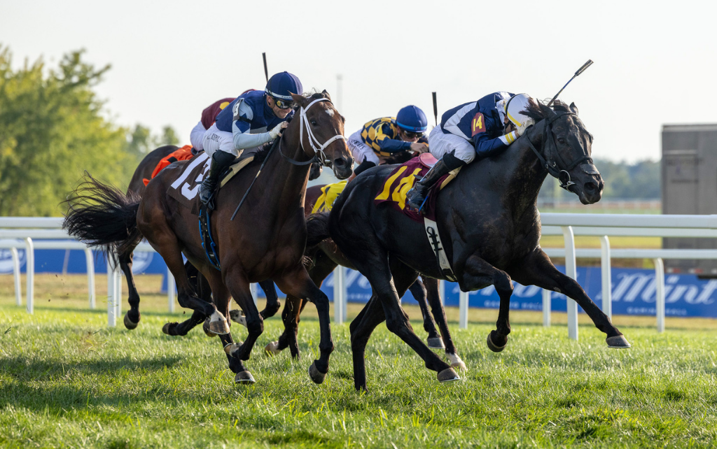 Seneca Park wins stakes debut in $750,000 Untapable; Plensa returns to Kentucky Downs to capture the restricted $500,000 Tapit