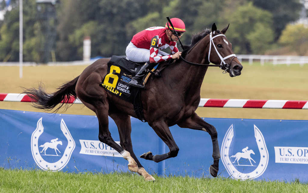 Stellify seeks third victory at Kentucky Downs in G3 $1.5 million Global Tote Ladies Marathon Inv.; Graded stakes-winner May Day Ready ships in for $500,000 One Dreamer