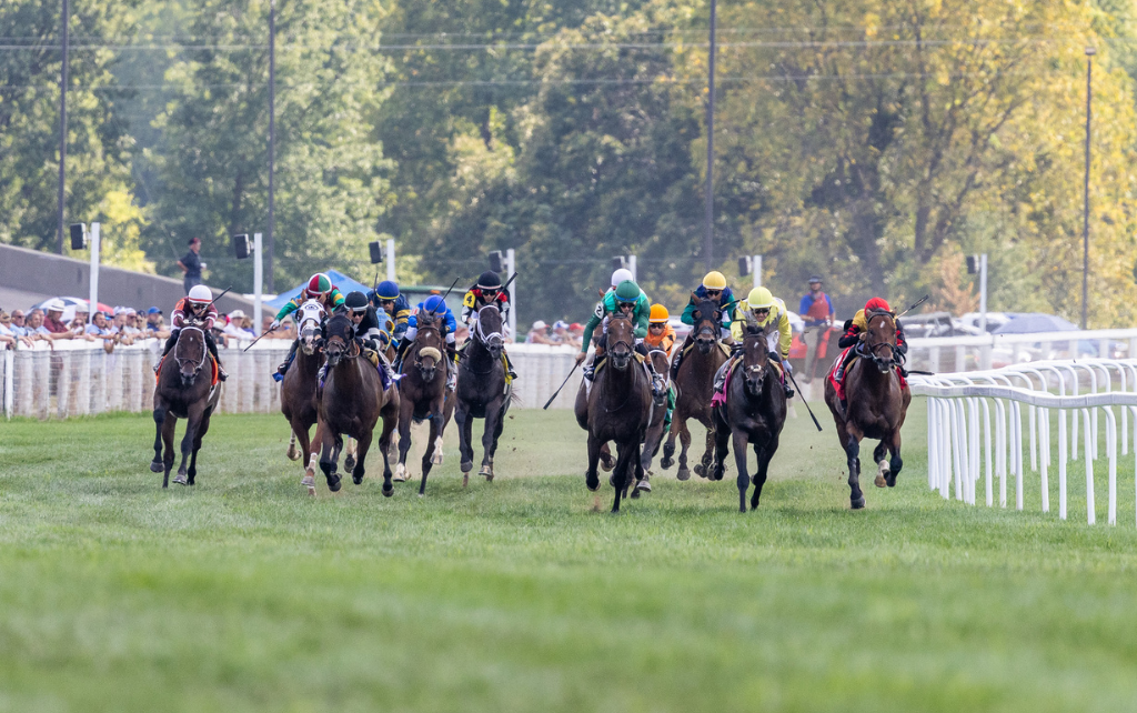 Multiple G1-winner Formidable Man pursues another meaningful win G3 $2 million Mint Millions Inv